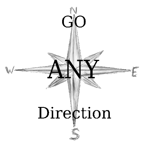 Any Direction Blog